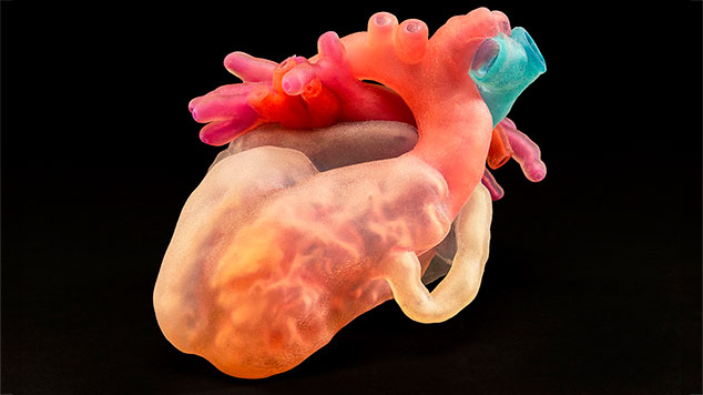 Colorful graphic of a human heart.
