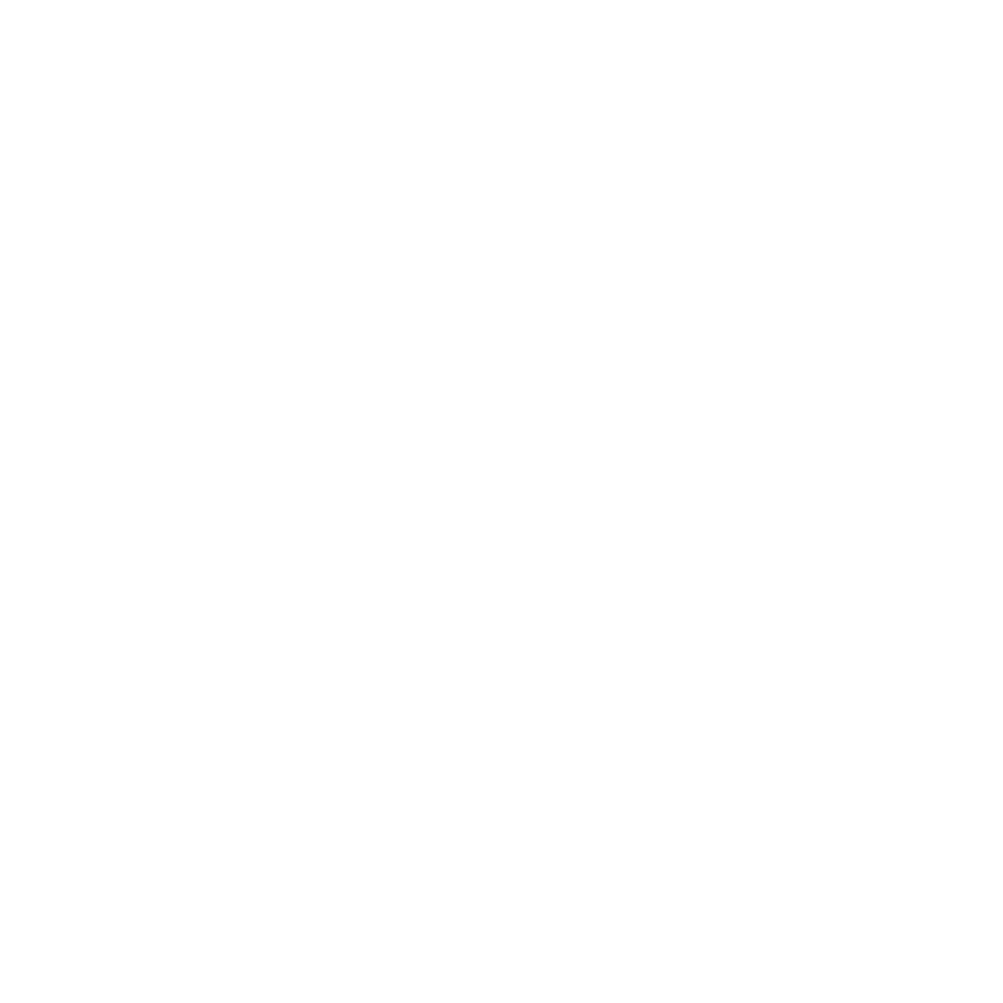 X icon