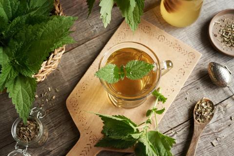 Glass mug of nettle tea on decorative cutting board, with fresh and dried nettle leaves around